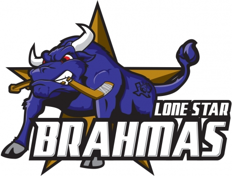 lone star brahmas 2013 14-pres primary logo iron on transfers for clothing
